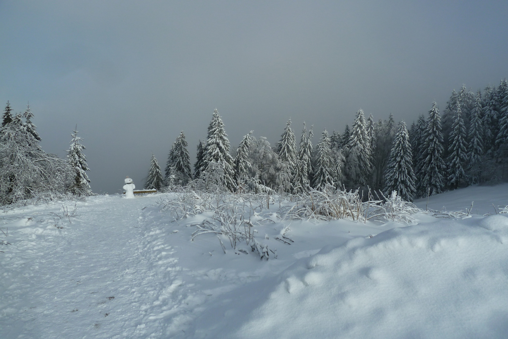 Der Schneemann - sehr einsam und frostig