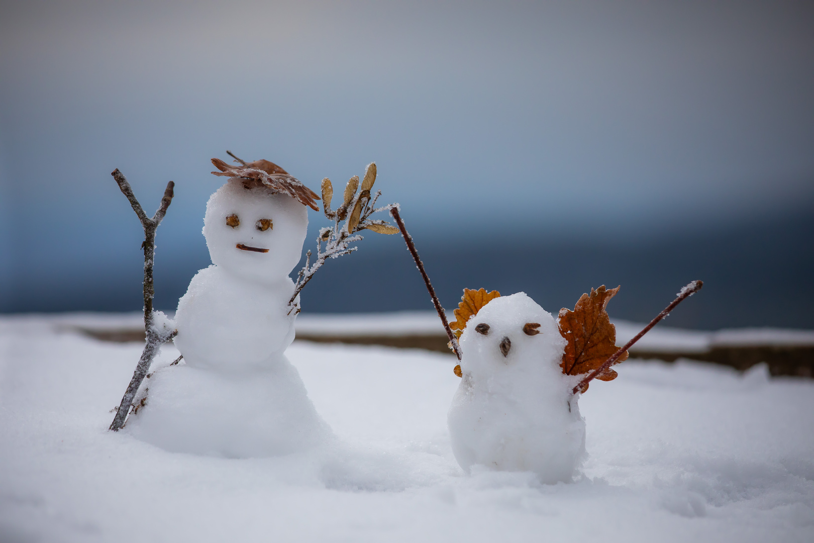 Der Schneemann und der Eisvogel...