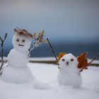 Der Schneemann und der Eisvogel...