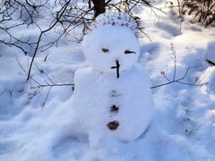 Der Schneemann von der Camargue (Alsace)