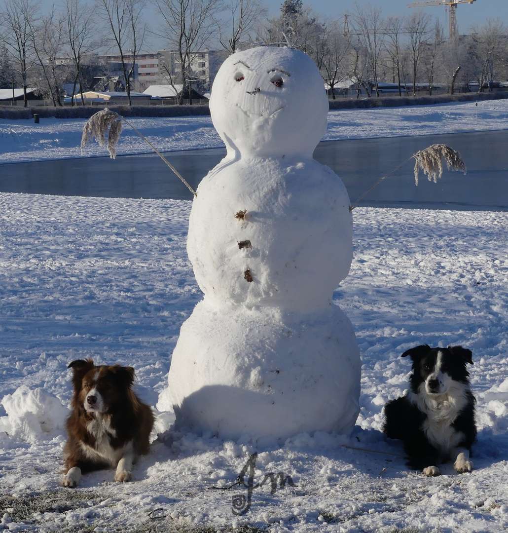 Der Schneemann wird bewacht.