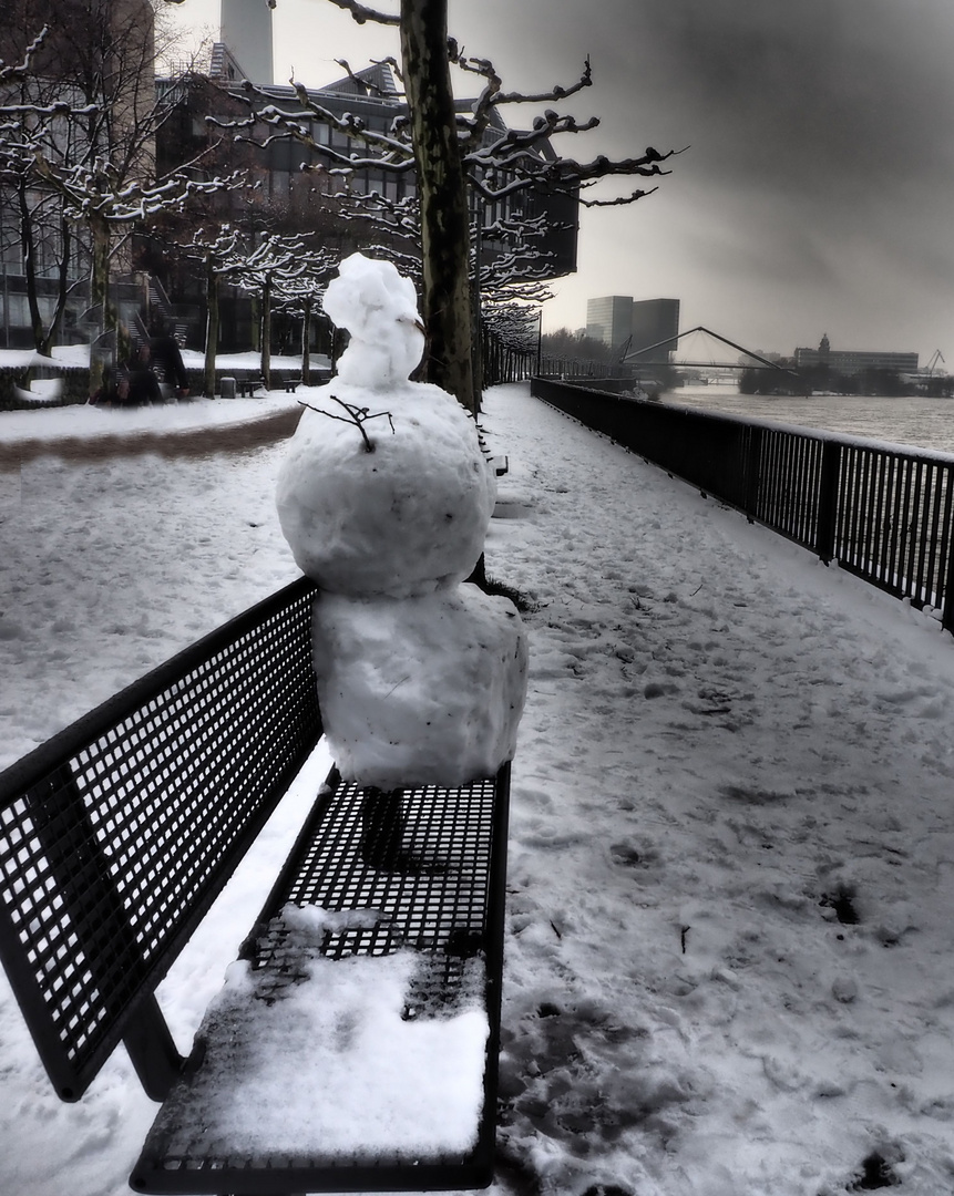 Der Schneemann wollte auch mal die Aussicht auf den Rhein geniessen ....