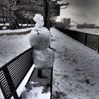 Der Schneemann wollte auch mal die Aussicht auf den Rhein geniessen ....