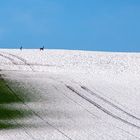 Der Schneeschauer...