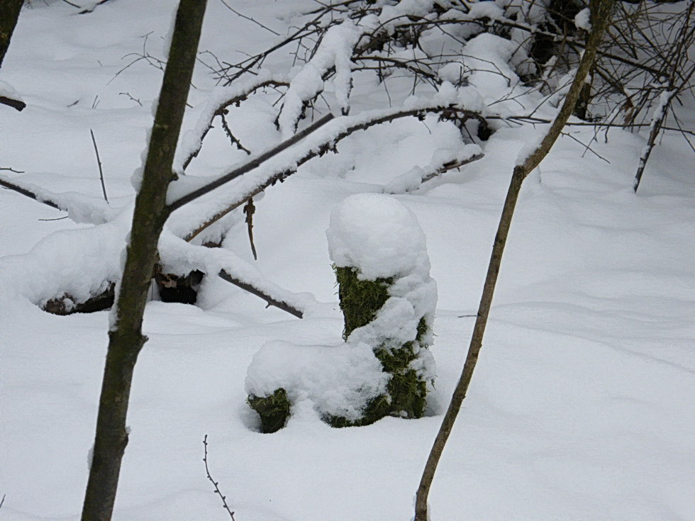 Der Schneeschuh...