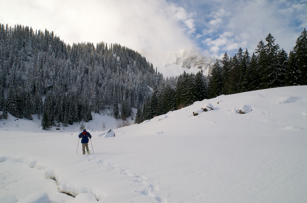 Der Schneeschuhgeher