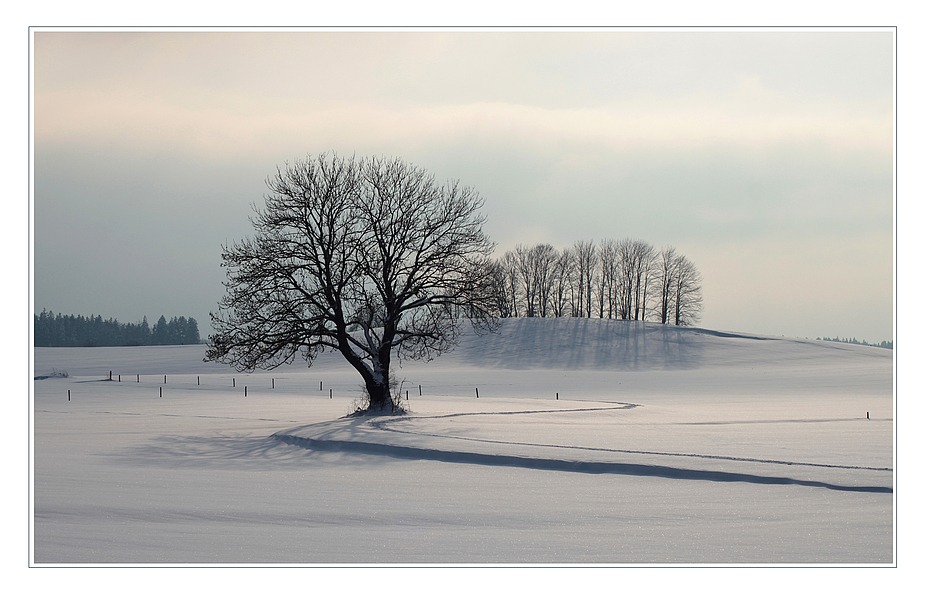 Der Schneespaziergang