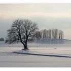 Der Schneespaziergang