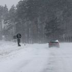 Der Schneesturm