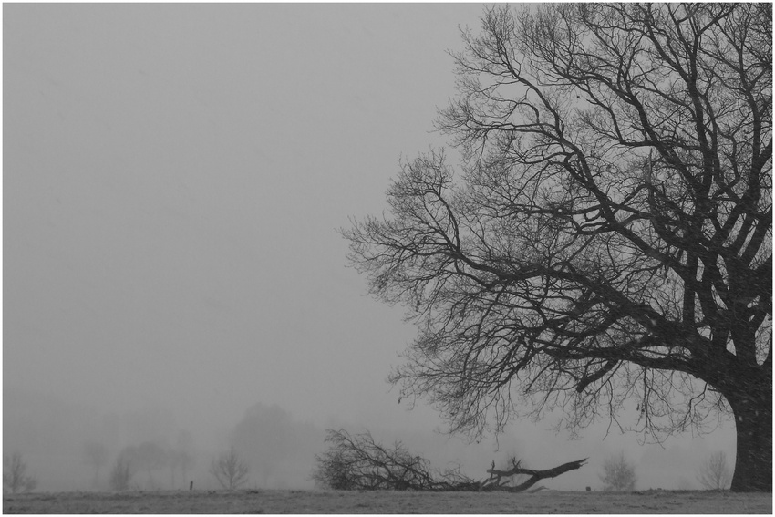 der Schneesturm