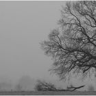 der Schneesturm