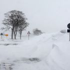 Der Schneesturm III