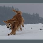 Der Schneetanz