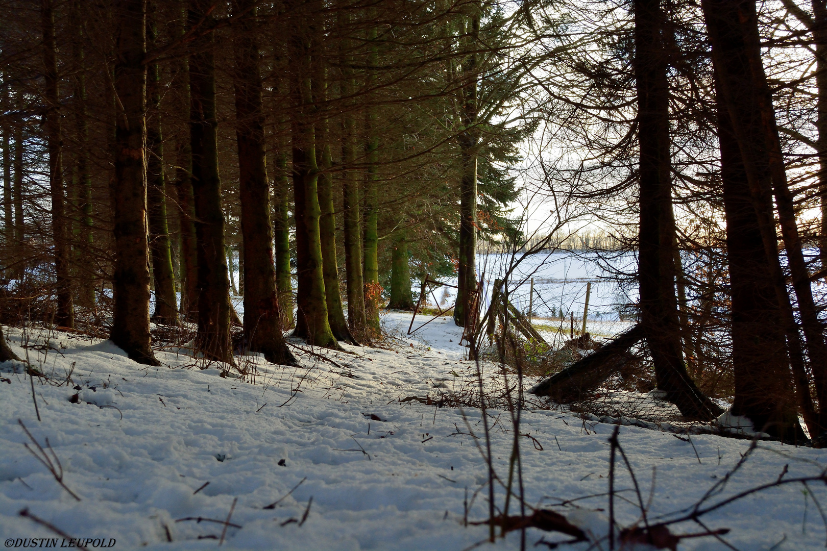 Der Schneeweg