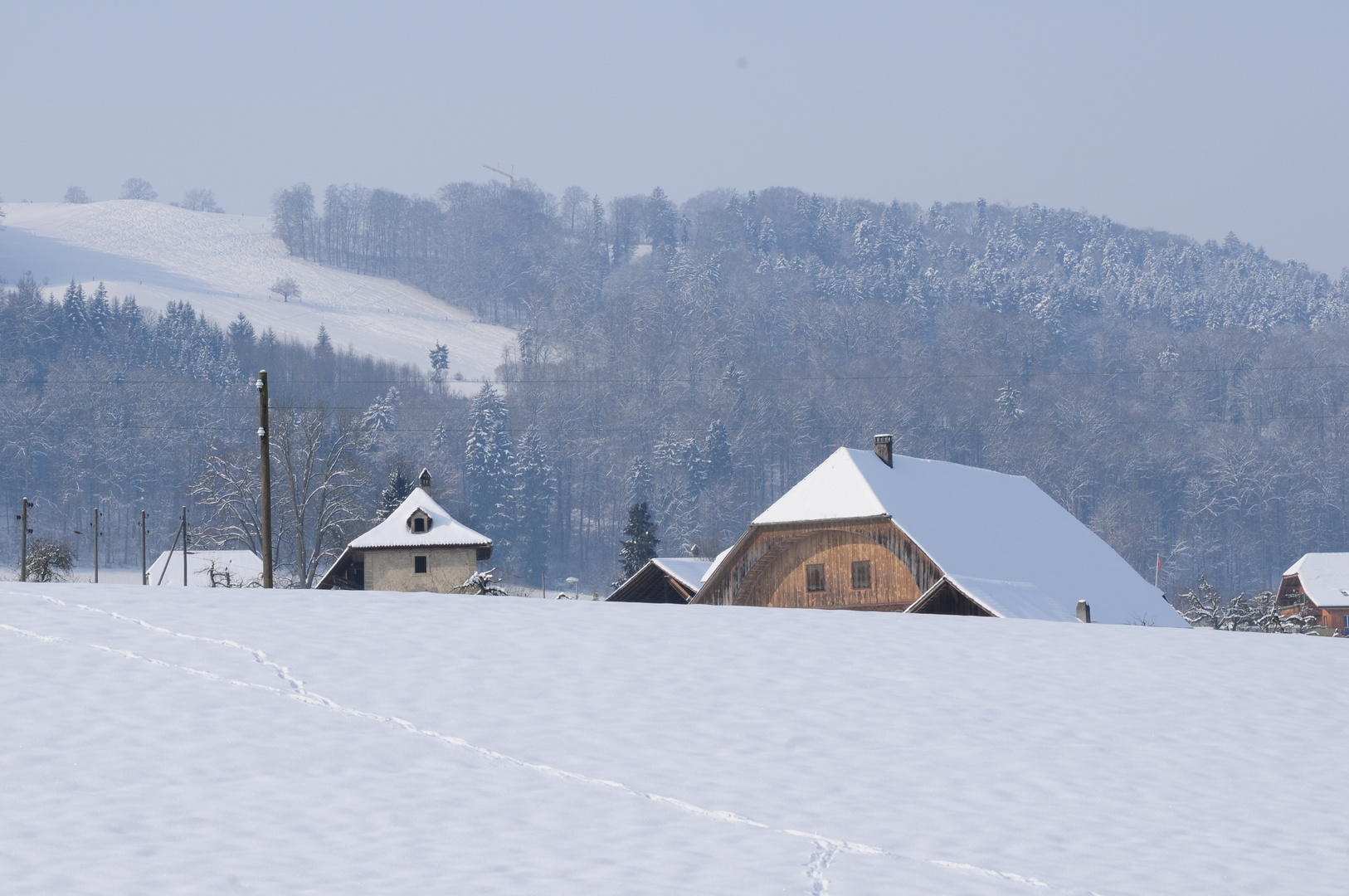 Der Schneewinter 2013