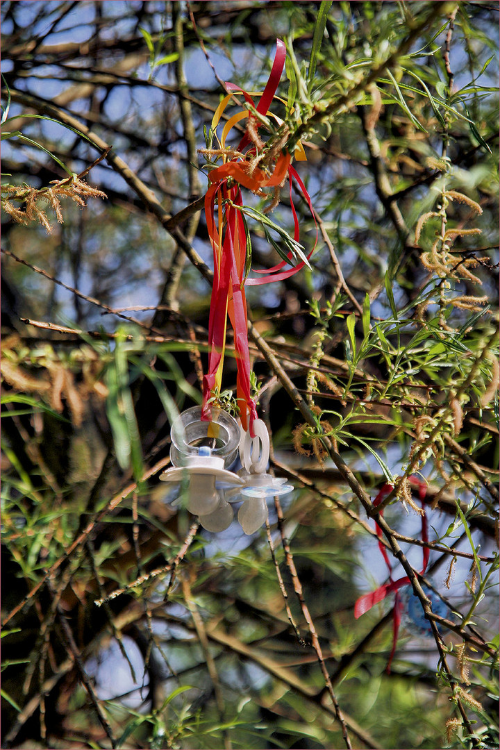 Der Schnullerbaum