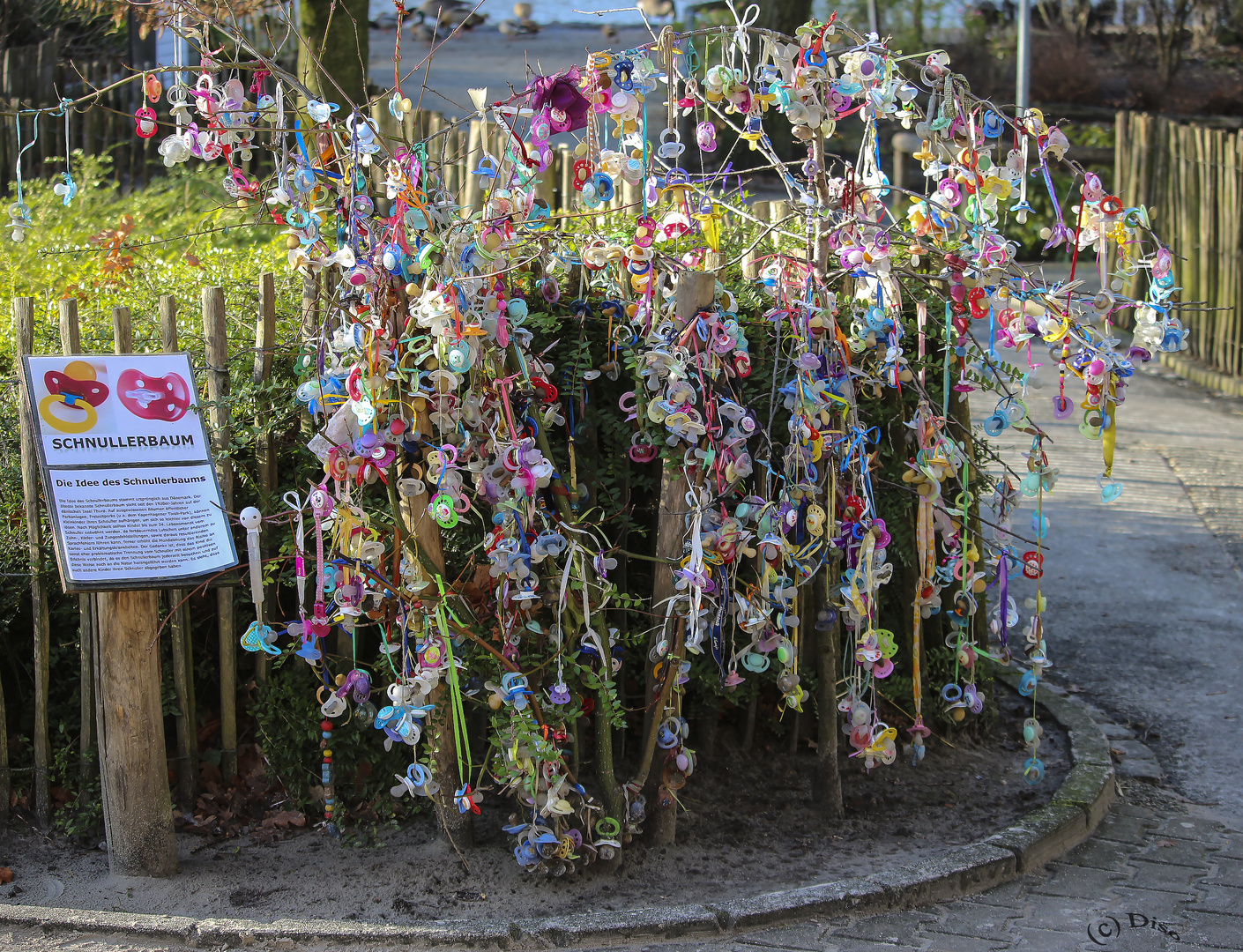 Der Schnullerbaum "Aachener Tierpark" 