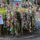 Der Schnullerbaum "Aachener Tierpark" 