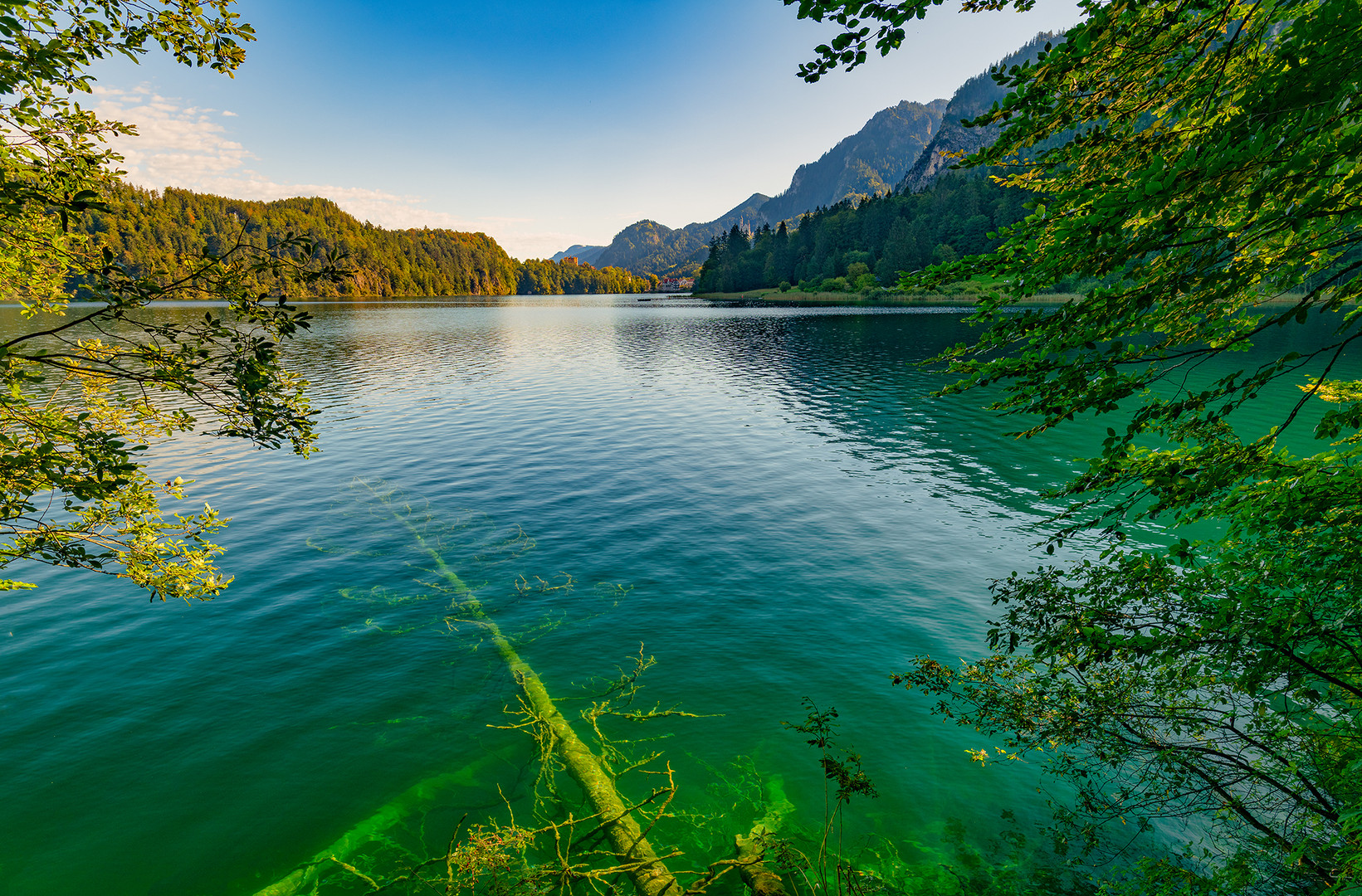 der schöne Alpsee