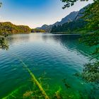 der schöne Alpsee