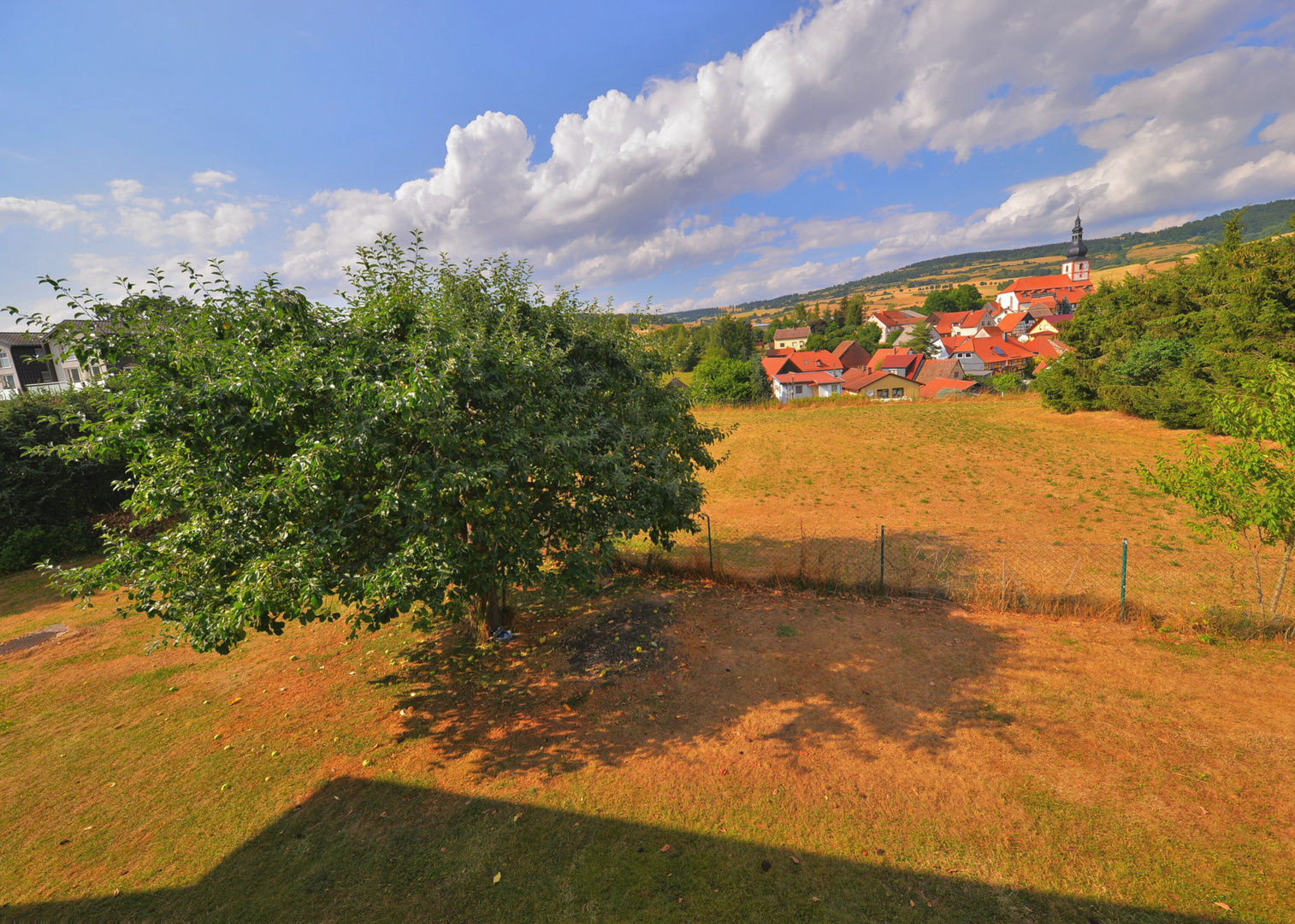 der schöne Apfelbaum in meinem Garten