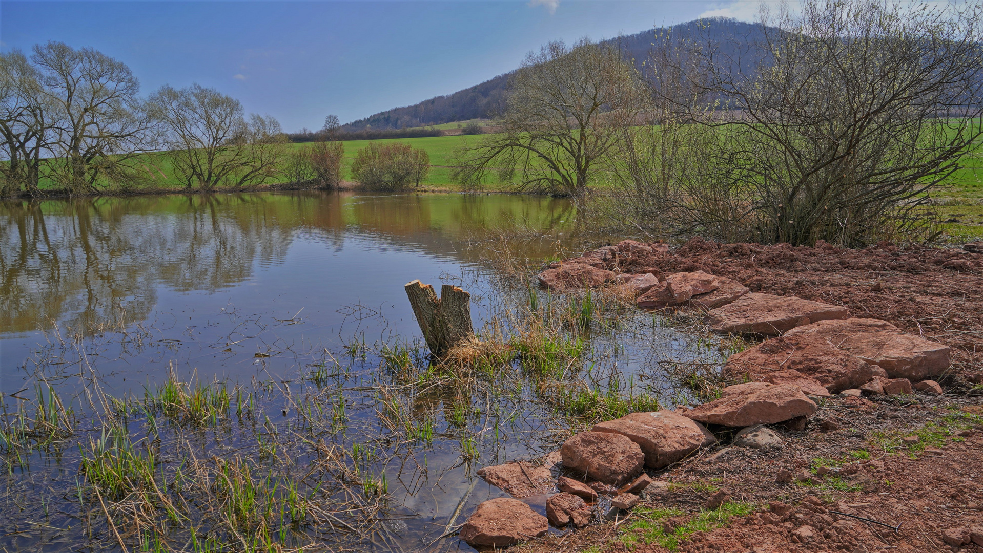 der schöne Baum am See ist gefällt worden, leider