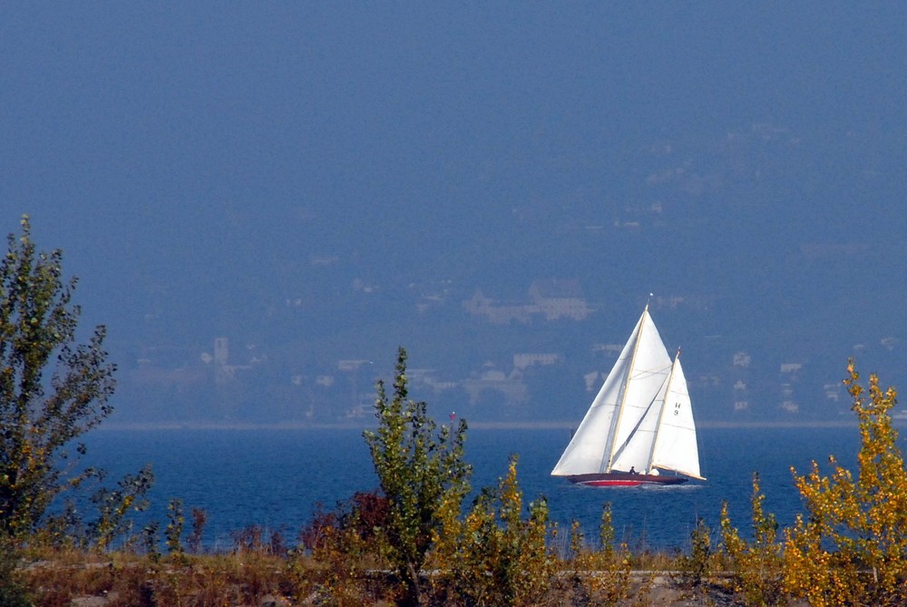 Der schöne Bodensee