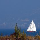 Der schöne Bodensee