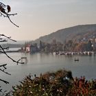 Der schöne Bodensee