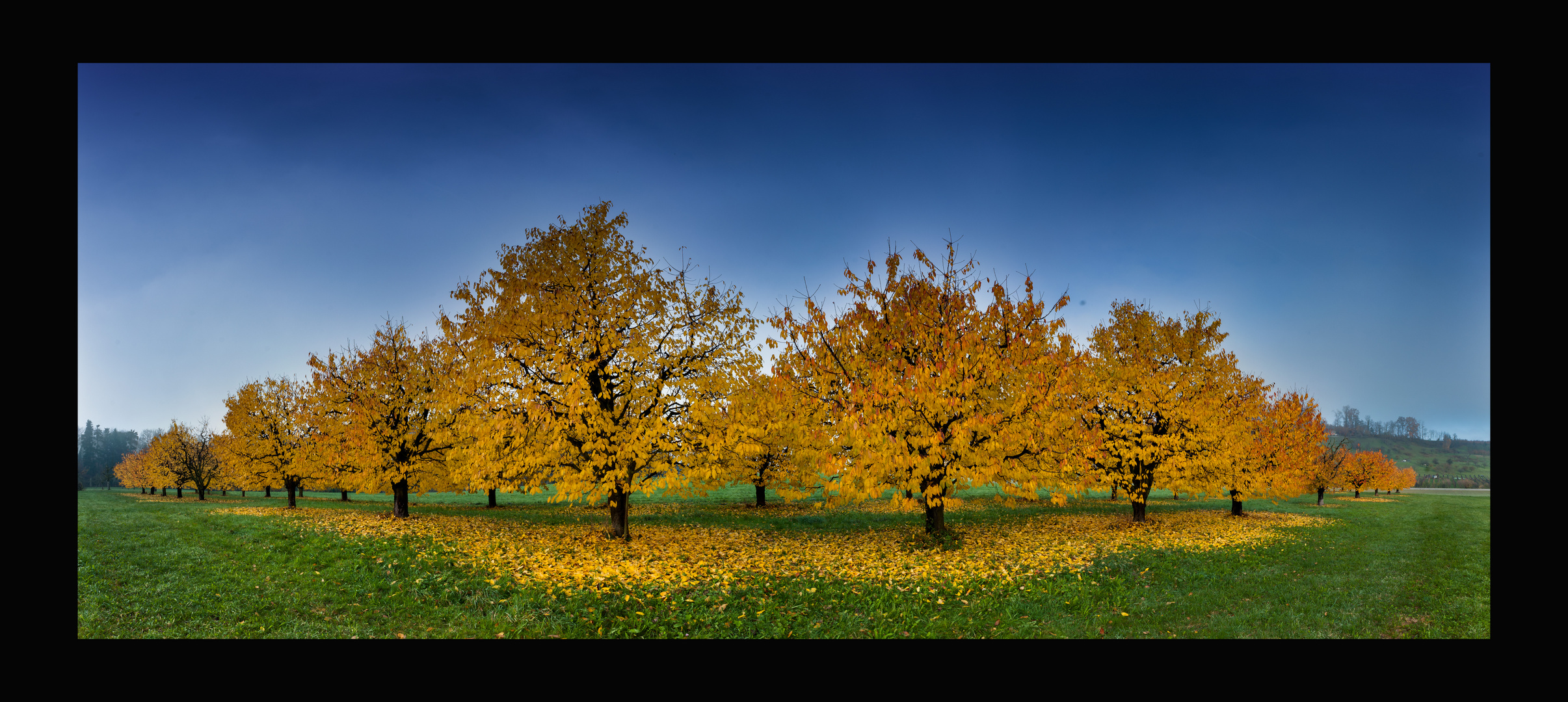 Der schöne Herbst