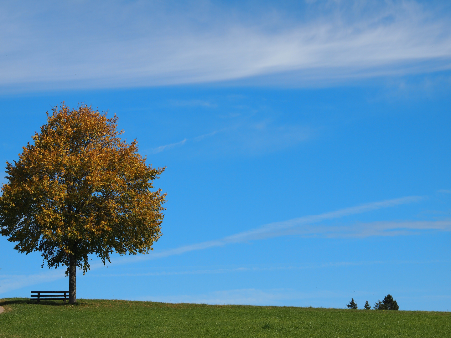 Der schöne Herbst ist da!