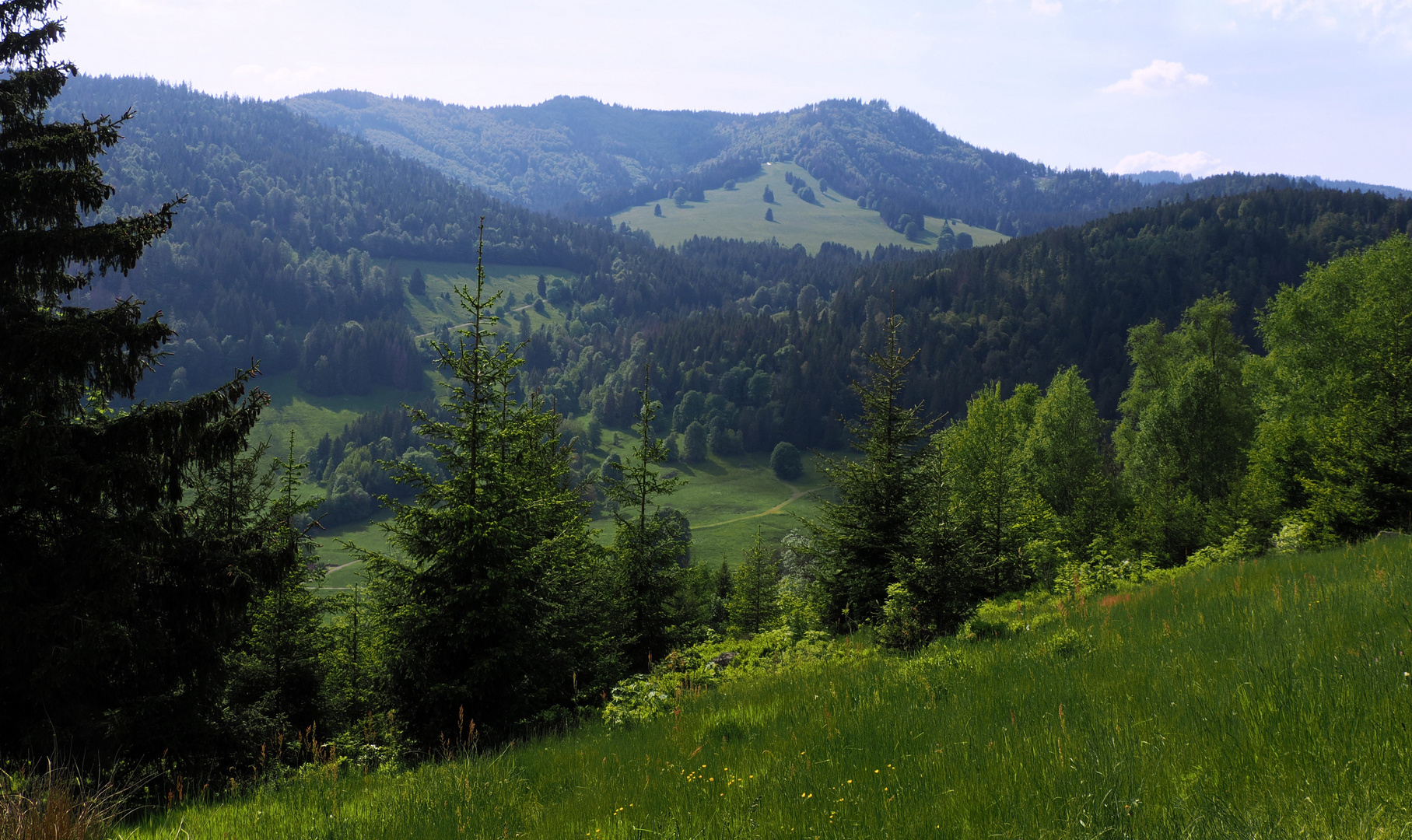 Der schöne Hochschwarzwald…