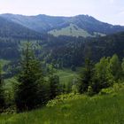 Der schöne Hochschwarzwald…