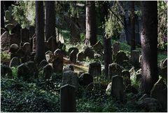 Der schöne jüdische Friedhof in Trebic