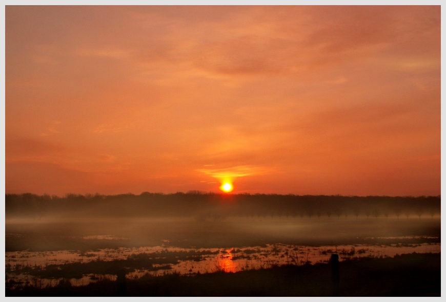 Der schöne Morgen an den Oderwiesen