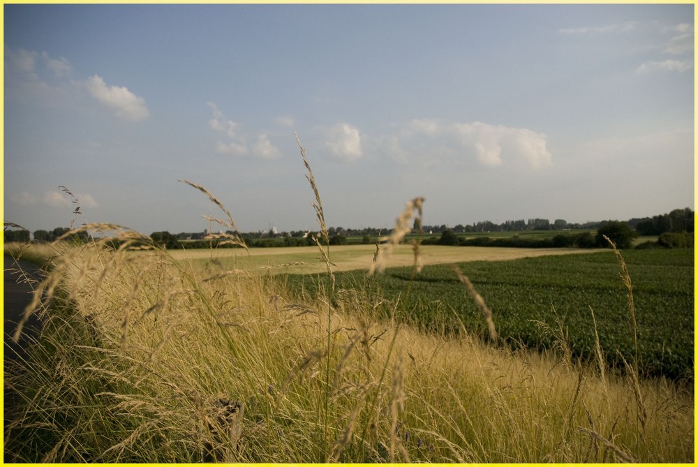 Der schöne Niederrhein in Wallach