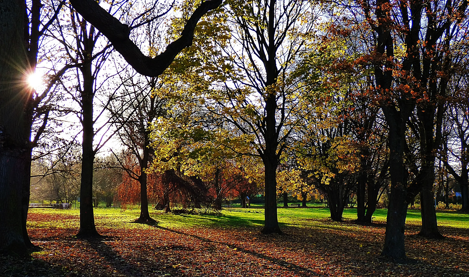 Der schöne Park . . .