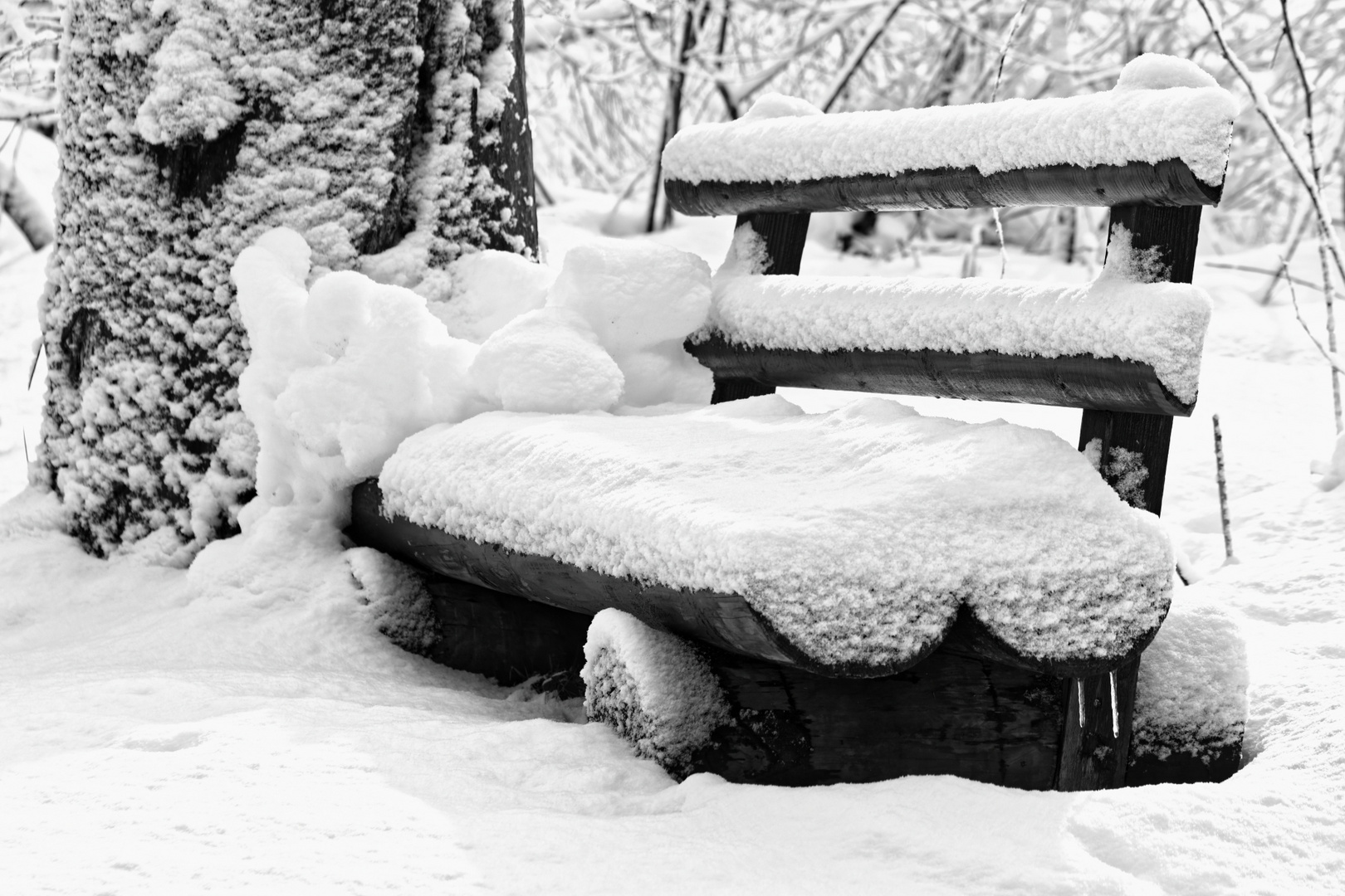 der schöne Schnee