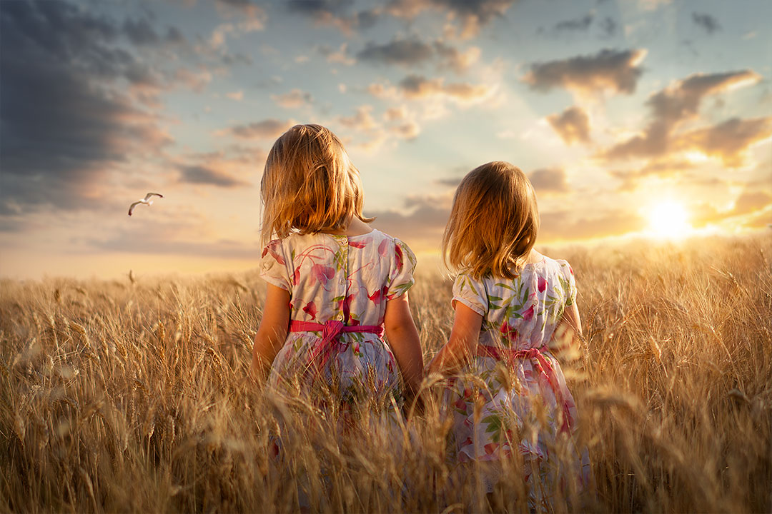 Der schöne Sommer