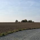 Der schöne Sommer ging von hinnen