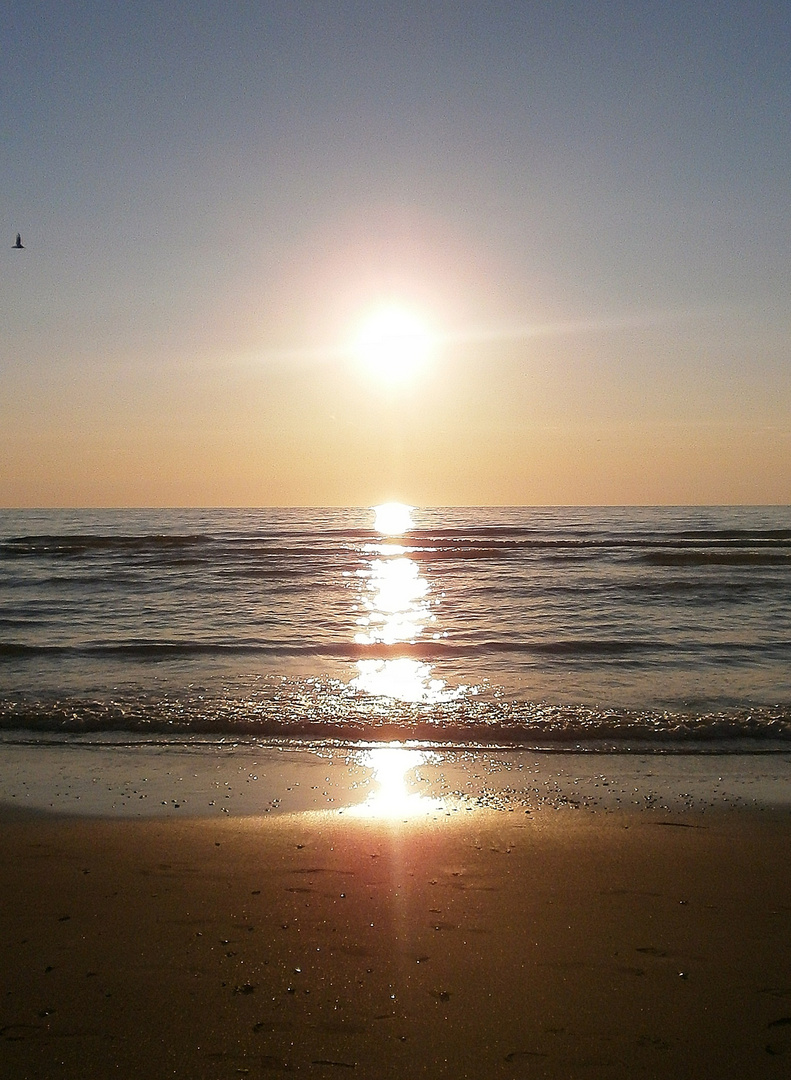 Der schöne Sonnenuntergang am Strand