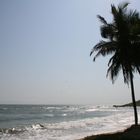 Der schöne Strand in Ghana