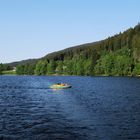 Der schöne Titisee 