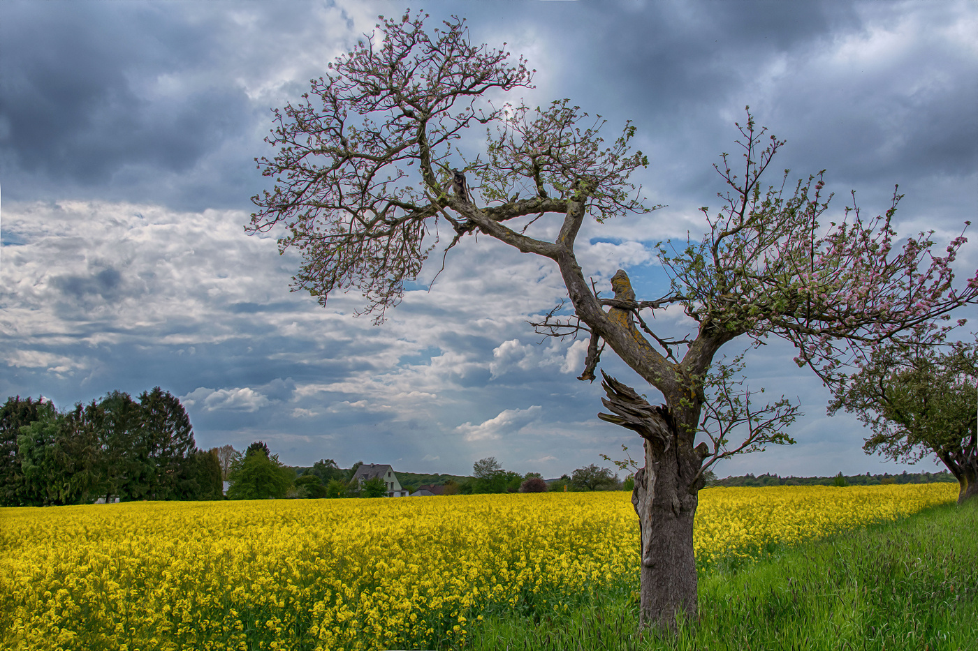 Der schöne Westerwald