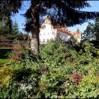 Der schöne wilde Garten meiner Nachbarin...