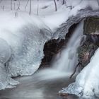 Der schöne Winter ?!