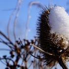 Der schöne Winter