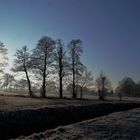 Der schöne Winter !