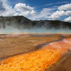 Der schöne Yellowstone Nationalpark