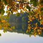 Der schönste Berliner See